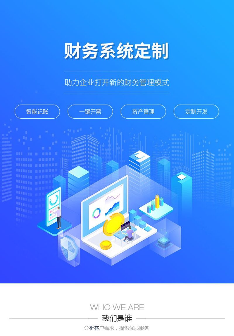 企业系统定制：选择与优化之旅